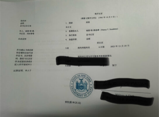 附加证明书/(apostille)/海牙认证/认证英文页面中文翻译公证插图