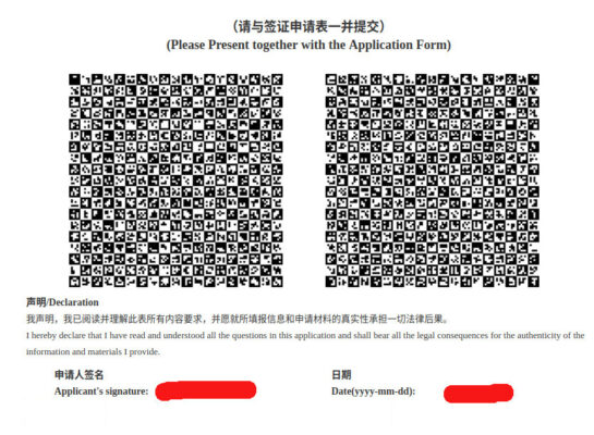 《中国签证申请表》填写说明插图1